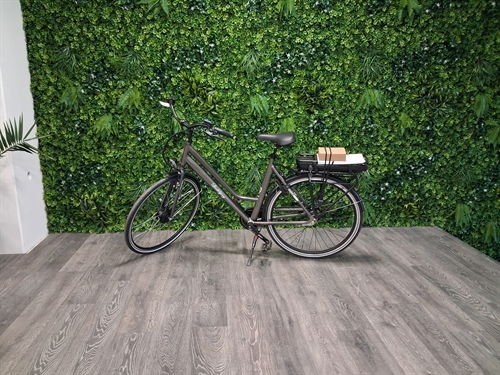 Lindebjerg 15-1 el-cykel
